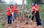 Dự án "Hoa Gạo thắp sáng Đền Hùng" kết nối 54 dân tộc