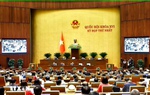 Hôm nay Quốc hội bàn về Luật Thuế thu nhập cá nhân, Thuế tiêu thụ đặc biệt