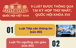 Infographic: 9 luật được thông qua tại Kỳ họp thứ Nhất, Quốc hội khóa XVI