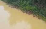 2 học sinh ở Nghệ An lao xuống sông cứu bạn nữ thoát chết