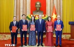 Tổng Bí thư, Chủ tịch nước Tô Lâm trao quyết định bổ nhiệm 5 Đại sứ Việt Nam tại nước ngoài