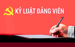 Trình tự xem xét, quyết định kỷ luật đảng viên