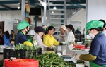 Lâm Đồng: Khẳng định vai trò nòng cốt của Mặt trận trong hành trình chuyển đổi xanh