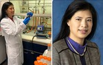 Công trình về chẩn đoán, điều trị ung thư của nữ Giáo sư gốc Việt góp mặt tại triển lãm khoa học danh giá của Anh