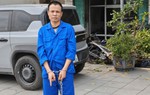 Quảng Ninh: Đề nghị truy tố đối tượng thuê xe tự lái, làm giả giấy tờ đem bán chiếm đoạt tiền
