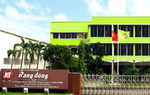 Rạng Đông Holding (RDP) bị phạt hơn 90 triệu đồng