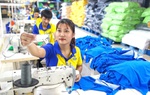 Kinh tế tư nhân Việt Nam "đông nhưng chưa mạnh"