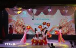 Vietnamese cultural spirit shines through Ao Dai festival in Europe