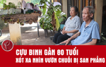 Cựu binh gần 80 tuổi xót xa nhìn vườn chuối bị san phẳng trong 2 giờ