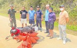 Bắt giữ gần 60kg vảy tê tê Java trên tuyến biên giới Cao Bằng
