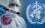 Ghi nhận hơn 200 ca tử vong do virus Ebola bùng phát tại Congo