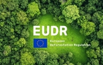 Doanh nghiệp Việt trước phép thử EUDR