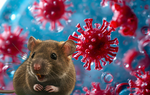 Thế giới virus đang biến đổi khó lường