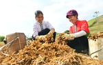 Sắp diễn ra Hội nghị Phụ nữ 2026 