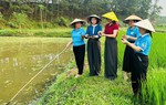 Người phụ nữ ở Hợp Thành tiên phong biến ruộng trũng thành “mỏ vàng” ốc nhồi