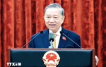 Tổng Bí thư, Chủ tịch nước Tô Lâm lên đường thăm cấp Nhà nước tới Cộng hòa Ấn Độ