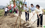 Ninh Bình: Khánh thành "Đường cây Phụ nữ" chào mừng Đại hội