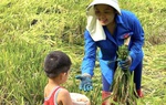 Tìm lại sự cân bằng với việc làm nông nghiệp sạch