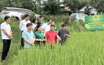Tuyên Quang: Hội Nông dân kiểm tra công trình chào mừng Đại hội MTTQ Việt Nam XI