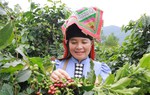 Khát vọng làm giàu từ kinh tế tập thể của phụ nữ vùng cao Sơn La