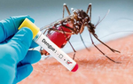 Sốt xuất huyết Dengue diễn biến khó lường, cả nước đã ghi nhận hơn 50.000 ca mắc