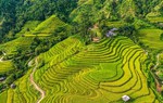 Vietnam listed among the 28 most beautiful countries in the world