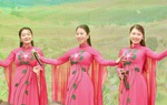 TPHCM xây dựng hệ sinh thái văn hóa áo dài, khẳng định giá trị di sản trong đời sống hiện đại
