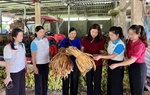 Hội LHPN tỉnh Cao Bằng kiểm tra, giám sát công tác Hội và phong trào phụ nữ tại địa bàn xã
