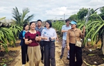 Sơn La: Tìm đầu ra căn cơ, bền vững cho các hợp tác xã do phụ nữ quản lý