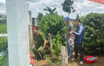 Người phụ nữ khuyết tật bị cưỡng hiếp, sát hại ở nghĩa địa