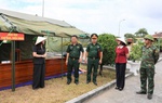 Các cấp Hội phụ nữ cụ thể hóa "Chiến dịch 500 ngày đêm" bằng những hoạt động thiết thực