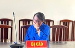 An Giang: 15 năm tù cho người phụ nữ dùng tài liệu giả, chiếm đoạt 5,9 tỷ đồng