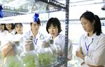 Khai thông dòng chảy đưa nghiên cứu của các nhà khoa học nữ ra thị trường