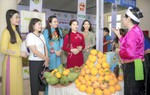 Phú Thọ phát triển mô hình sinh kế do phụ nữ làm chủ theo hướng xanh, bền vững