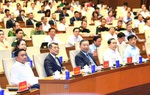 Nghiên cứu, học tập, quán triệt và triển khai thực hiện Nghị quyết số 10-NQ/TW