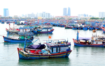 Phạt tối đa 2 tỷ đồng với hành vi vi phạm hành chính lĩnh vực thủy sản