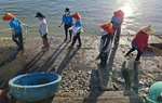Phụ nữ Khánh Hòa góp phần kiến tạo môi trường sống trong lành hơn