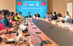 Tọa đàm Doanh nghiệp Việt Nam - Thổ Nhĩ Kỳ