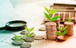 Tín dụng xanh không còn là "đặc quyền" của doanh nghiệp lớn