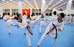 Hà Nội lần đầu tổ chức Festival Võ thuật quốc tế tại Hoàng thành Thăng Long