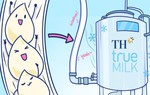 Hành trình khép kín hoàn hảo của giọt sữa tươi sạch TH true MILK