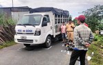 Phục hồi điều tra vụ bé gái tử vong do tai nạn giao thông ở Vĩnh Long