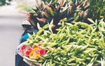 Hà Nội tiên phong kiến tạo không gian văn hóa đô thị số 