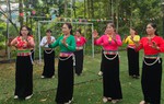 Lồng ghép bình đẳng giới trong sửa đổi luật về văn hóa, thể thao, du lịch