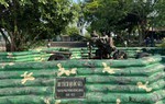 10 nữ Anh hùng Liệt sĩ dân quân pháo phòng không Lam Hạ: "Những vì sao không tắt" của Tổ quốc