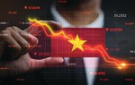 8 nhóm giải pháp thực hiện cải cách tổng thể thị trường tài chính Việt Nam