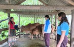 Phát huy vai trò của Hội LHPN Việt Nam trong phối hợp triển khai hiệu quả tín dụng chính sách xã hội