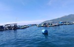 Khánh Hòa: Chủ tịch tỉnh chỉ đạo xử lý các chủ lồng bè, nhà bè nổi tự phát sau phản ánh của Báo Phụ nữ Việt Nam