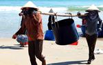 Sửa Luật Tài nguyên, môi trường biển và hải đảo: Cần đảm bảo không gian sinh kế cho phụ nữ ven biển