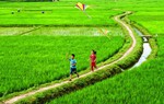Kỳ nghỉ hè không điện thoại